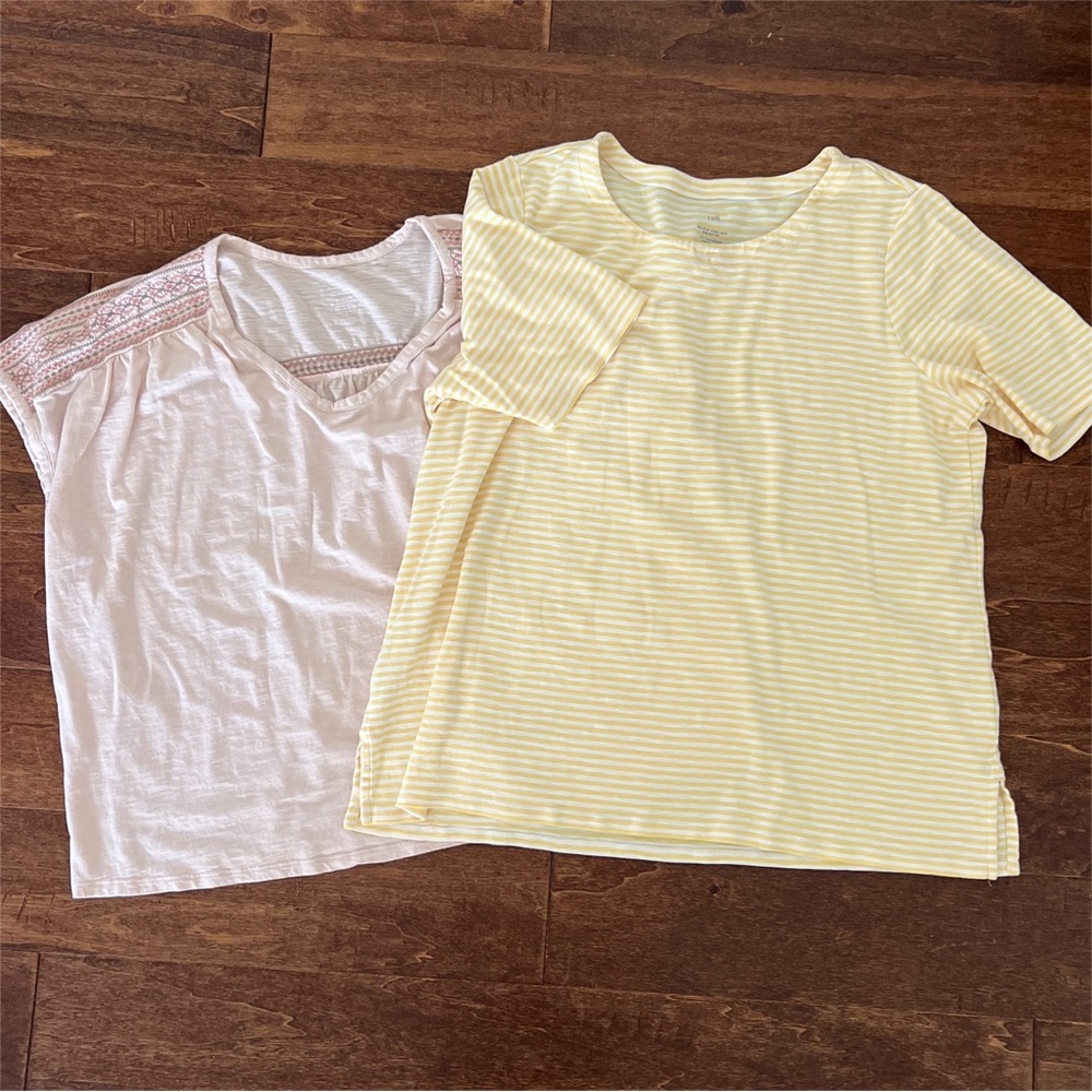 J Jill Bundle of 2 Short Sleeve T-Shirts 2X Pink Embroidered Yellow Stripes